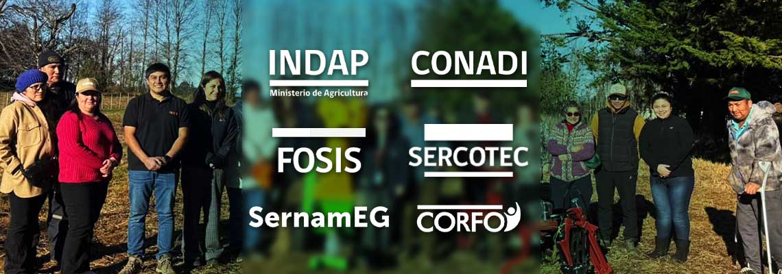 Instituciones licitantes: INDAP, CONADI, FOSIS, SERCOTEC, SERNAMEG y CORFO